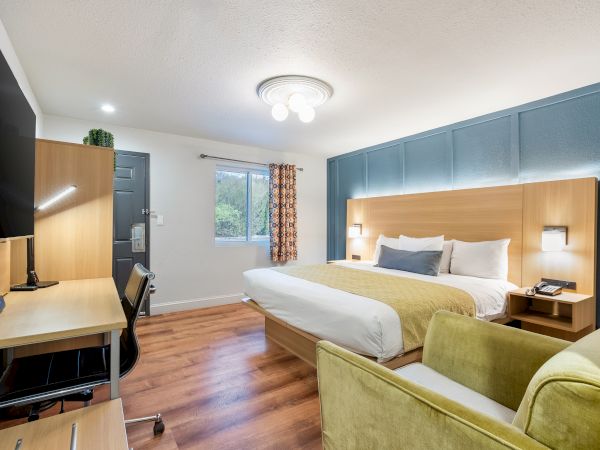 A modern hotel room with a king bed, blue accent wall, work desk, sitting area, and warm lighting&mdash;cozy and stylish.