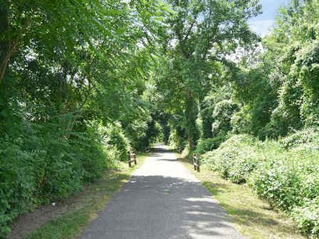 A paved park path flanked by lush green trees and hedges, with dappled sunlight and a few people walking in the distance.